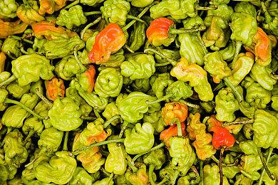 《琉隐无界》新武器“双刀”演示 用起来帅爆了